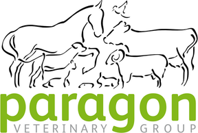 Paragon Veterinary Group - Newbiggin logo