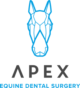 Apex Equine Dental Surgery logo
