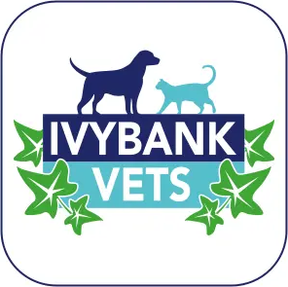 Ivy Bank Vet - Irvine logo