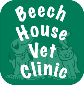 Beech House Vet Brighton logo