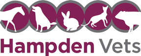 Hampden Vets - Veterinary logo
