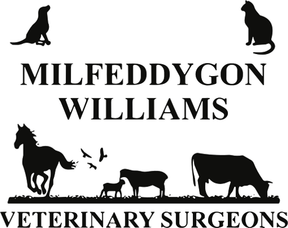 Williams Vets - Barmouth logo