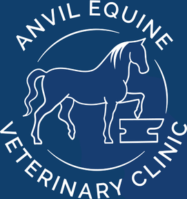 Anvil Equine Veterinary Clinic logo