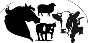 Melling Vets logo