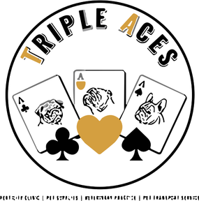 Triple Aces Canine Care Centre logo