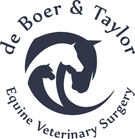 de Boer & Taylor Equine Vets logo