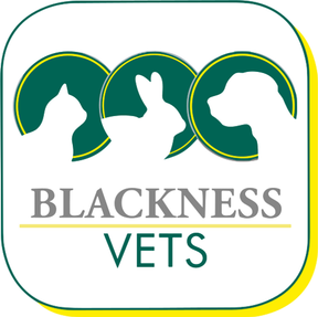 Blackness Vets - Dundee logo