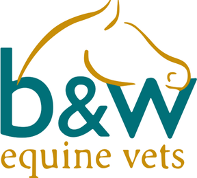 B&W Equine Vets - Willesley logo