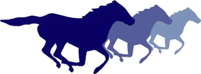 Western Counties Equine Hospital logo
