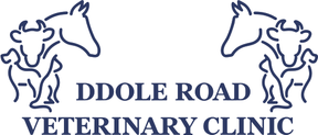 Ddole Road Vets logo