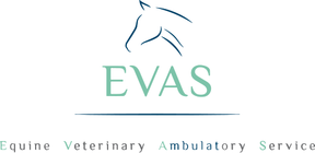 Equine Veterinary Ambulatory Service logo