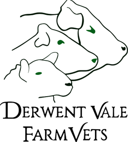 Derwent Vale Farm Vets logo