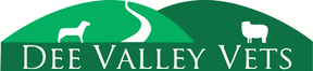 Dee Valley Vets - Llangollen logo