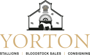 Yorton Farm Veterinary Practice logo