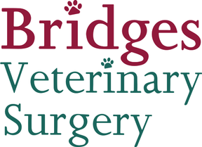 Bridges Veterinary Surgery logo