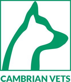 Cambrian Vets logo