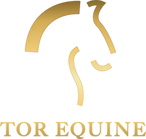 Tor Equine Vets logo