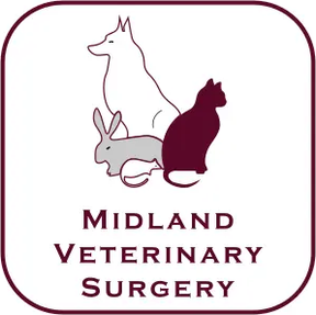 Midland Vets - Leyton logo