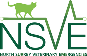 North Surrey Emergency Vets logo