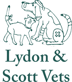 Lydon and Scott Vets - Lydon Vets logo
