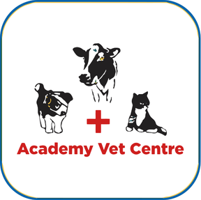 Academy Vets - Stranraer logo