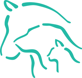 Ryder Davies Vets - Ipswich logo