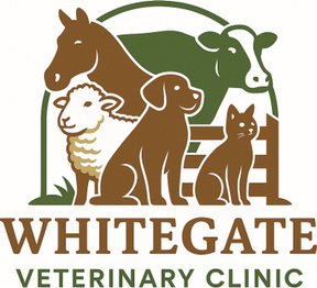 Whitegate Veterinary Clinic logo