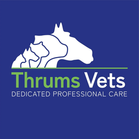 Thrums Veterinary Group - Blairgowrie logo