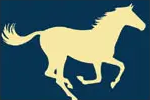 Equine Acupuncture logo