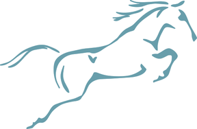 David Platt Equine Vet logo