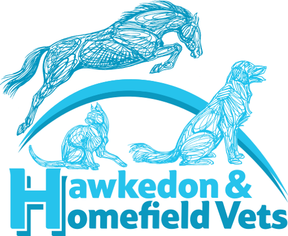 Hawkedon Vets - Hawkedon logo