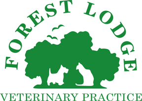 Forest Lodge Vets - New Milton logo