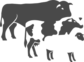 Camlas Farm Vets logo