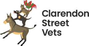 Clarendon Street Veterinary Surgery - Cambridge logo