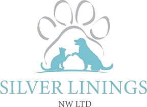 Silver Linings NW logo