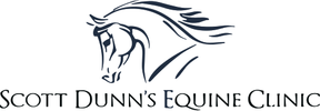 Scott Dunn's Equine Clinic logo