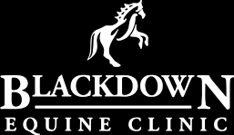 Blackdown Equine Clinic logo