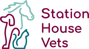 Station House Vets logo