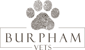 Burpham Vets logo