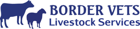 Border Vets logo