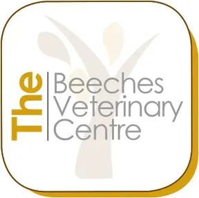 The Beeches Vets - Melksham logo