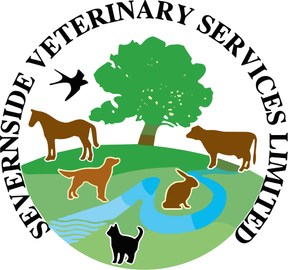 Severnside Veterinary Services - Lydney logo