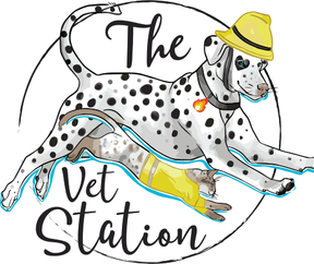 The Vet Station Molesey logo