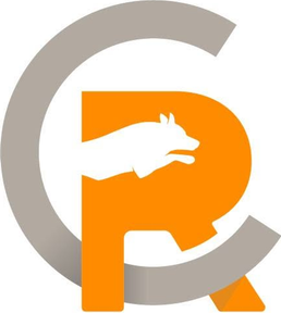 Renew Centre logo