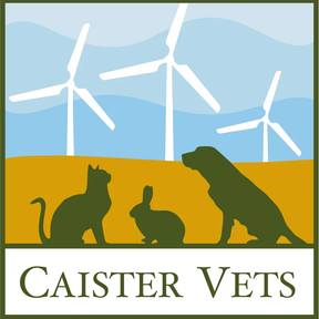 Westover Veterinary Centre - Caister Vets logo