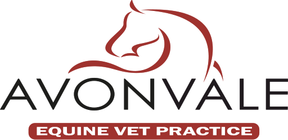 Avonvale Equine Vet Practice logo