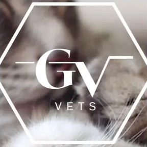 Golden Valley Vets - Long Ashton logo