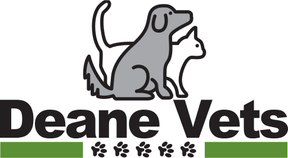 Deane Vets - Taunton logo