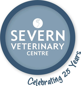 Severn Vets - Tybridge House logo