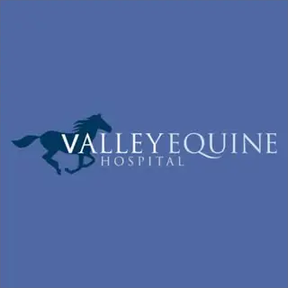 Valley Equine Hospital logo